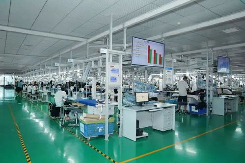 向 新 提 質 行在前端的紡織集群新質生產力